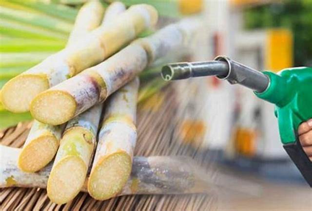 Vendas de etanol ultrapassam 3 bilhões de litros em janeiro