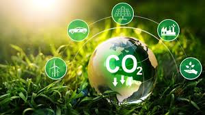 Mercado de carbono volta ao Senado e governo precisa decidir estratégia política