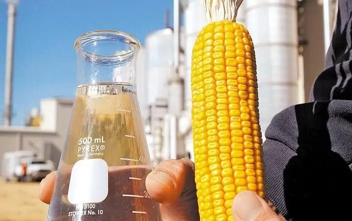 Grupo Mafra e CMAA vão investir R$ 2 bi em usina de etanol de milho no Pará