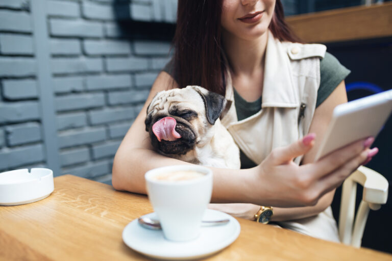 Produtos pet na conveniência: vale a pena investir?