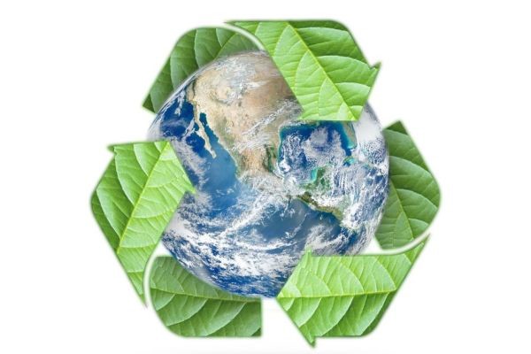 Graxas Biodegradáveis