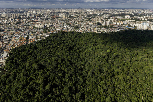 Brasil quer liderar agenda ambiental internacional na COP30, mas corre risco de retrocessos em casa