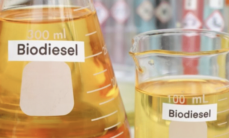 Brasil pode não cumprir prazo para elevar a 16% mistura de biodiesel em março 2026