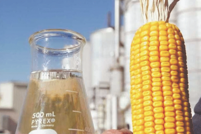 Expansão do etanol de milho impulsiona novas oportunidades de consumo no Brasil