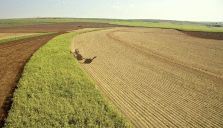 UNICA e Cetesb firmam acordo para fortalecer gestão ambiental e impulsionar transição energética no setor sucroenergético