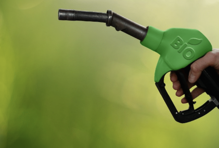 Manifesto pelo Biodiesel: energia sustentável que move e alimenta