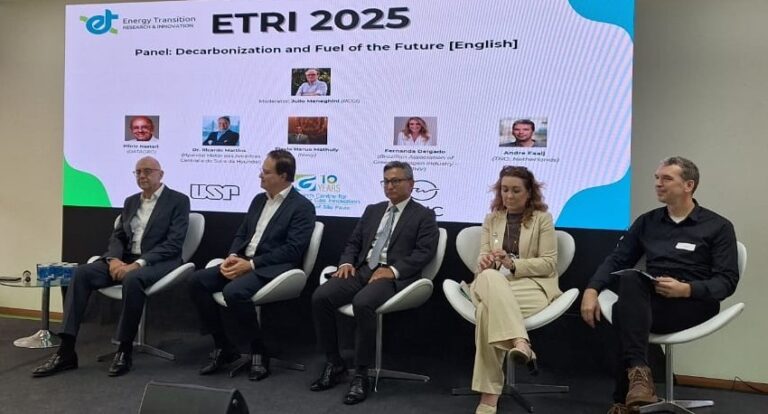 Brasil está pronto para exportar hidrogênio verde a partir de 2030, afirma Fernanda Delgado, da ABIHV