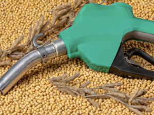 Produção de biodiesel no Brasil bate recorde em 2025 e setor deve crescer em 2026