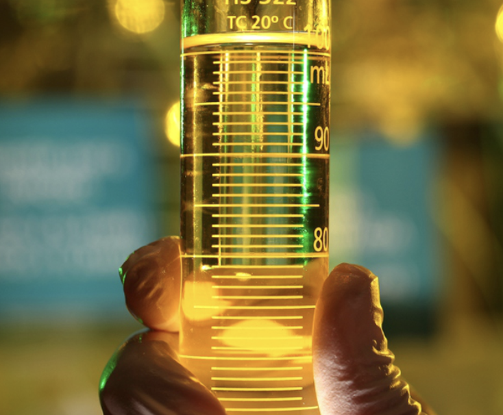 Posicionamento IBP – Importação de biodiesel