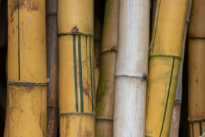 Safra de cana 2026/27 terá perfil mais alcooleiro