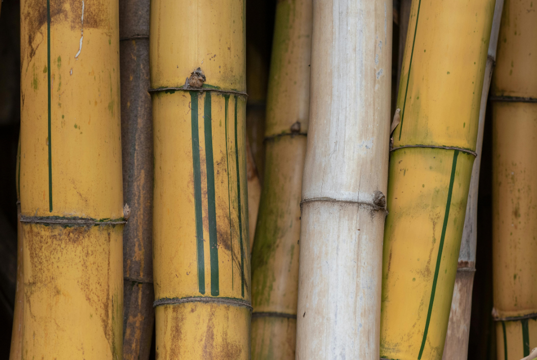 Safra de cana 2026/27 terá perfil mais alcooleiro