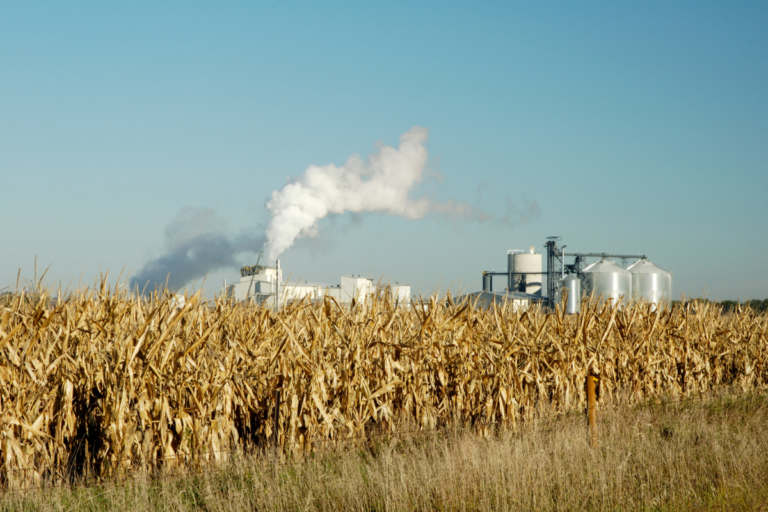 Etanol atinge maior produção da história e protege o consumidor frente à alta do petróleo