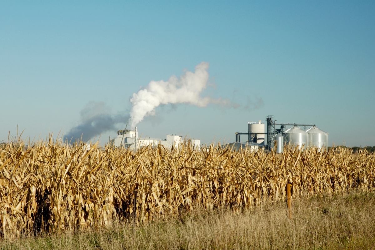 Etanol atinge maior produção da história e protege o consumidor frente à alta do petróleo