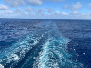 IBP: Hidrovia do Tapajós evita 20 mil viagens por ano