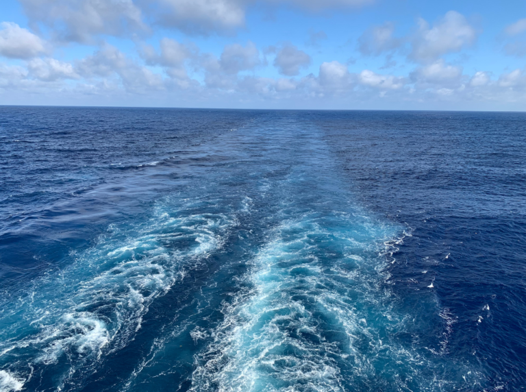 IBP: Hidrovia do Tapajós evita 20 mil viagens por ano