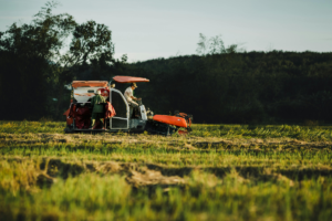Crise do diesel e fertilizantes: especialista aponta saídas jurídicas para o agro