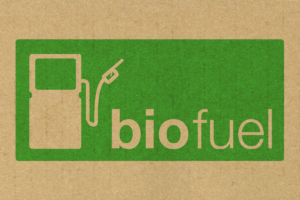 Biocombustíveis de soja reforçam transição energética