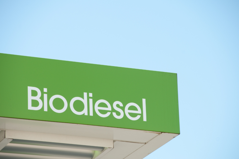 Be8 amplia uso de gordura animal no biodiesel