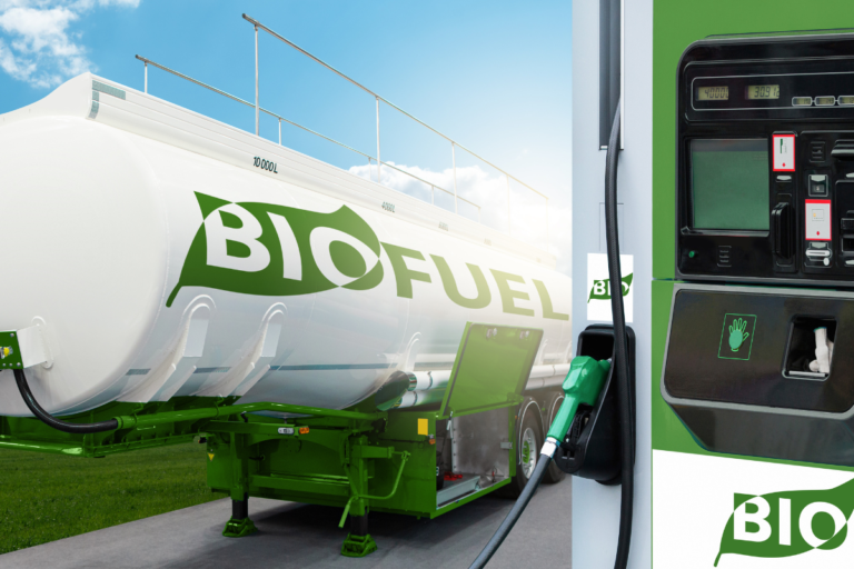 Biocombustível Brasileiro, sustentabilidade com DNA nacional