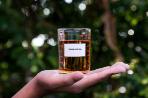 Audiência pública debate mudanças no monitoramento da mistura de biodiesel
